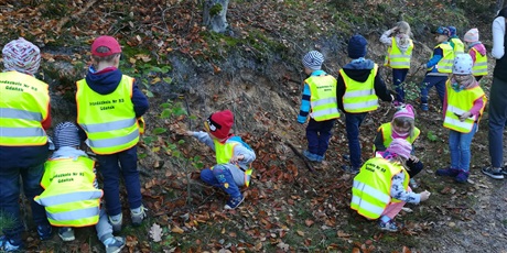 Powiększ grafikę: Leśny Ogród Botaniczny w Marszewie 18.10