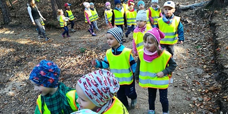 Powiększ grafikę: Leśny Ogród Botaniczny w Marszewie 18.10