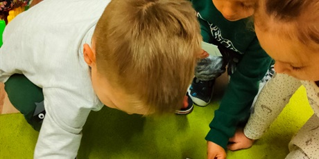 Powiększ grafikę: "Owocowy zawrót głowy"