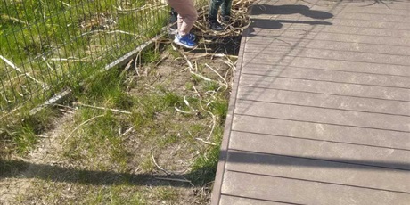 Powiększ grafikę: Segregujemy odpady 28.04