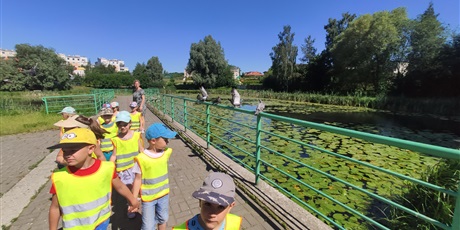 Powiększ grafikę: Spacer nad stawek