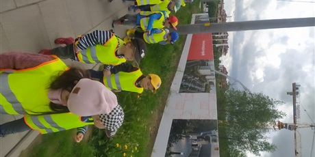 Powiększ grafikę: Spacerujemy w okolicach przedszkola 25.05