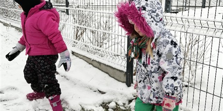 Powiększ grafikę: Zimowe zabawy w ogrodzie